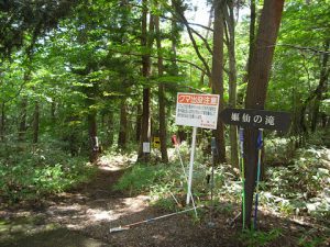 林中小路